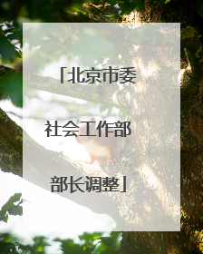 北京市委社会工作部部长调整