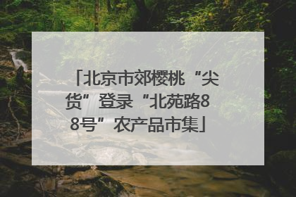 北京市郊樱桃“尖货”登录“北苑路88号”农产品市集