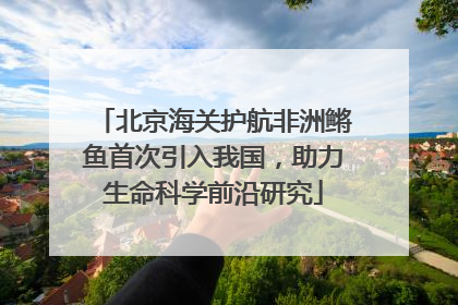 北京海关护航非洲鳉鱼首次引入我国，助力生命科学前沿研究