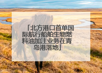 北方港口首单国际航行船舶生物燃料油加注业务在青岛港落地