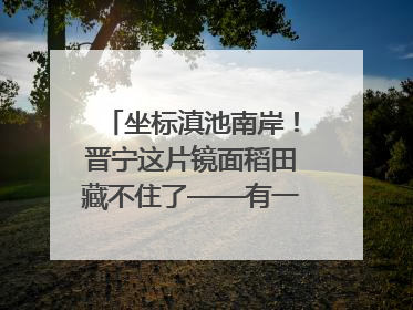 坐标滇池南岸！晋宁这片镜面稻田藏不住了——有一种叫云南的生活之365天