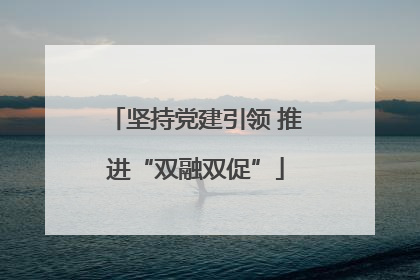 坚持党建引领 推进“双融双促”