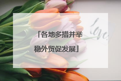 各地多措并举稳外贸促发展