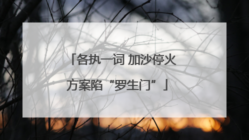 各执一词 加沙停火方案陷“罗生门”