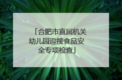 合肥市直属机关幼儿园迎接食品安全专项检查