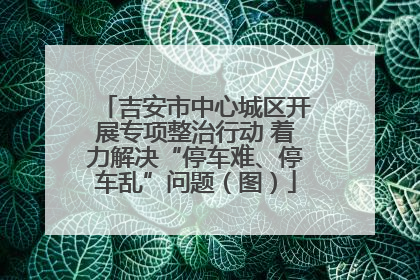 吉安市中心城区开展专项整治行动 着力解决“停车难、停车乱”问题（图）