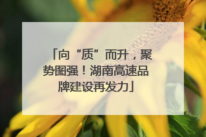向“质”而升，聚势图强！湖南高速品牌建设再发力