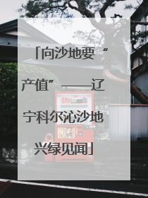 向沙地要“产值”——辽宁科尔沁沙地兴绿见闻