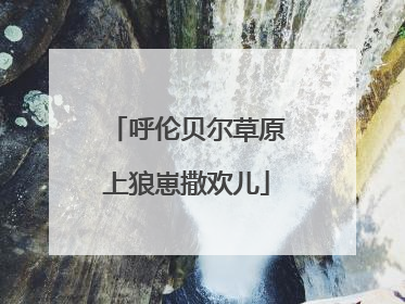 呼伦贝尔草原上狼崽撒欢儿