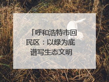 呼和浩特市回民区：以绿为底 谱写生态文明建设新篇章