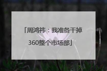 周鸿祎：我准备干掉360整个市场部