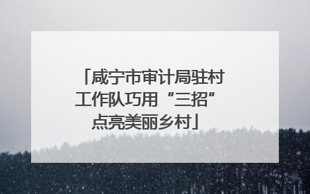 咸宁市审计局驻村工作队巧用“三招”点亮美丽乡村
