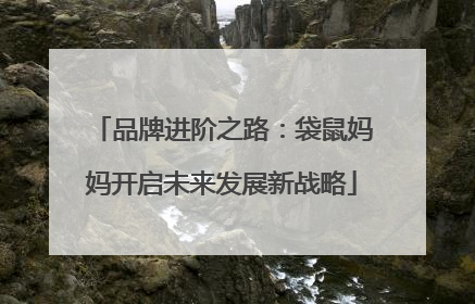 品牌进阶之路：袋鼠妈妈开启未来发展新战略