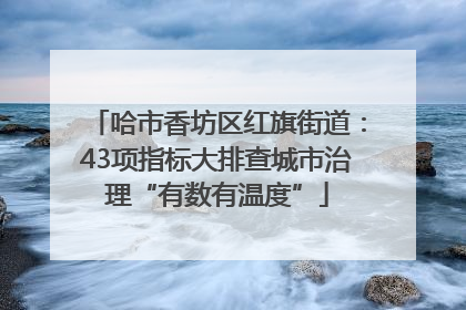 哈市香坊区红旗街道：43项指标大排查城市治理“有数有温度”
