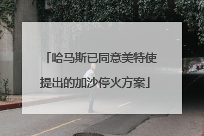 哈马斯已同意美特使提出的加沙停火方案