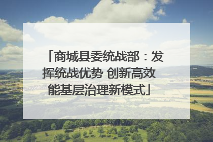 商城县委统战部：发挥统战优势 创新高效能基层治理新模式