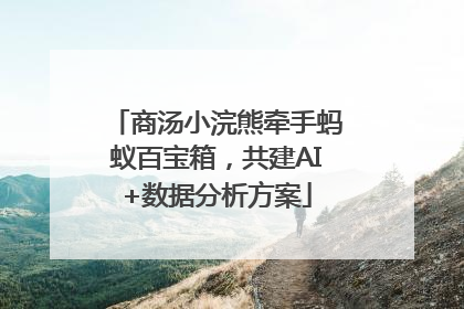 商汤小浣熊牵手蚂蚁百宝箱，共建AI+数据分析方案