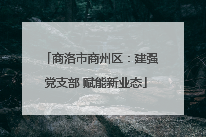 商洛市商州区：建强党支部 赋能新业态