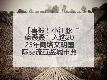 喜报！小江豚“蓝叒叒”入选2025年网络文明国际交流互鉴城市典型案例
