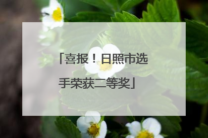 喜报！日照市选手荣获二等奖