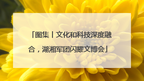 图集丨文化和科技深度融合，湖湘军团闪耀文博会