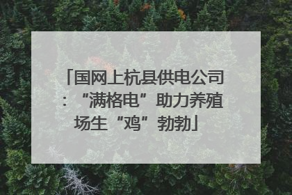 国网上杭县供电公司：“满格电”助力养殖场生“鸡”勃勃