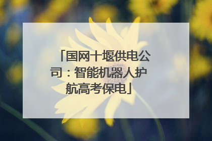 国网十堰供电公司：智能机器人护航高考保电