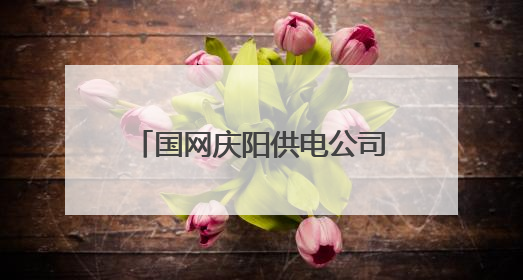 国网庆阳供电公司：红色引擎强动力 实干担当展作为
