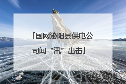 国网泌阳县供电公司闻“汛”出击
