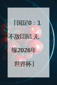 国足0：1不敌印尼 无缘2026年世界杯