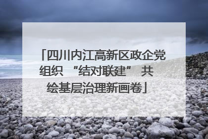 四川内江高新区政企党组织 “结对联建” 共绘基层治理新画卷