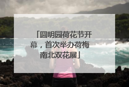 圆明园荷花节开幕，首次举办荷梅南北双花展