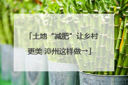 土地“减肥”让乡村更美 漳州这样做→
