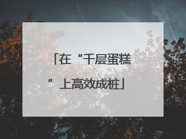 在“千层蛋糕”上高效成桩