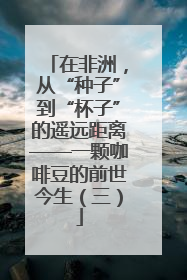 在非洲，从“种子”到“杯子”的遥远距离——一颗咖啡豆的前世今生（三）