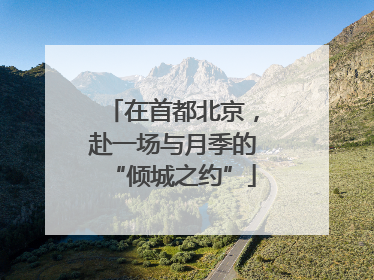 在首都北京，赴一场与月季的“倾城之约”