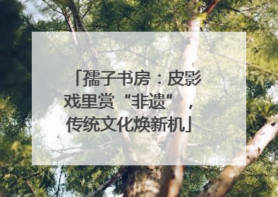 孺子书房：皮影戏里赏“非遗”，传统文化焕新机