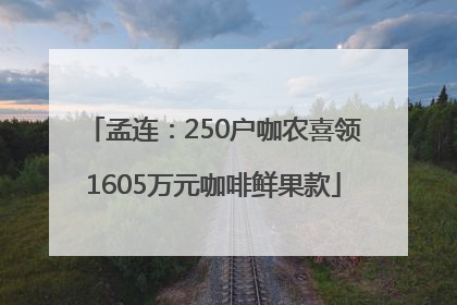 孟连：250户咖农喜领1605万元咖啡鲜果款