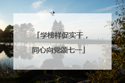 学榜样促实干，同心向党颂七一