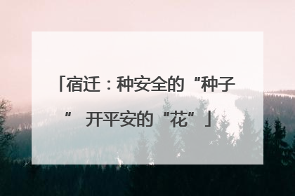 宿迁：种安全的“种子” 开平安的“花”