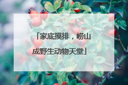 家底摸排，崂山成野生动物天堂