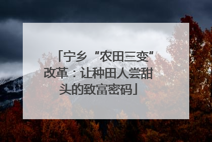 宁乡“农田三变”改革：让种田人尝甜头的致富密码