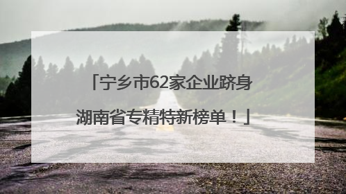 宁乡市62家企业跻身湖南省专精特新榜单！