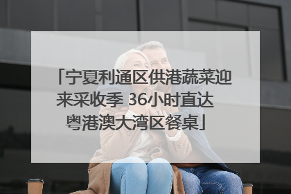宁夏利通区供港蔬菜迎来采收季 36小时直达粤港澳大湾区餐桌