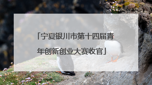 宁夏银川市第十四届青年创新创业大赛收官