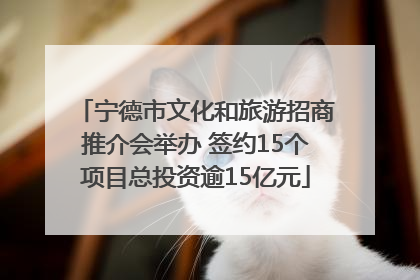 宁德市文化和旅游招商推介会举办 签约15个项目总投资逾15亿元