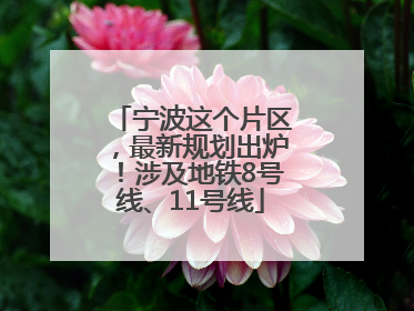宁波这个片区，最新规划出炉！涉及地铁8号线、11号线