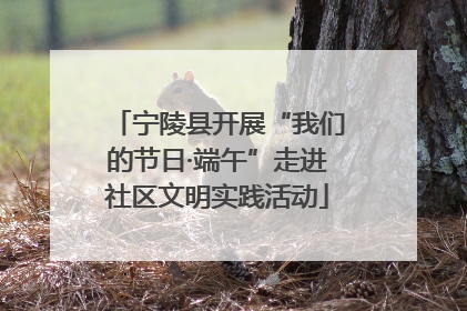 宁陵县开展“我们的节日·端午”走进社区文明实践活动
