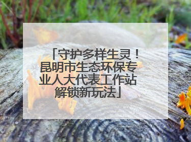 守护多样生灵！昆明市生态环保专业人大代表工作站解锁新玩法