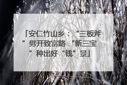 安仁竹山乡：“三板斧”劈开致富路 “新三宝”种出好“钱”景